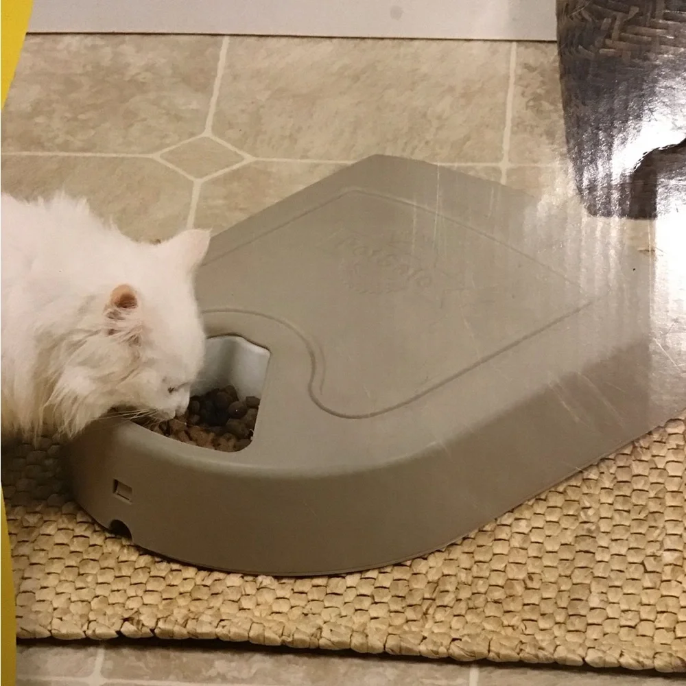 5 Meal Pet Feeder
